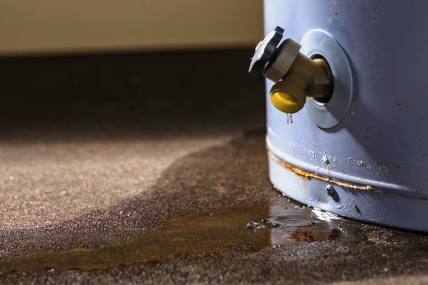Best Commercial water damage restoration  in Coats Bend, AL
