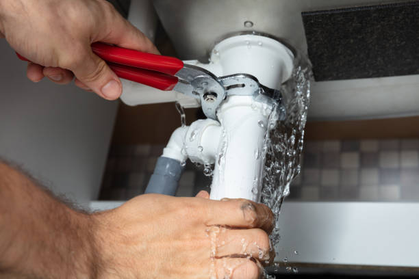 Best Water damage contractors near me  in Coats Bend, AL