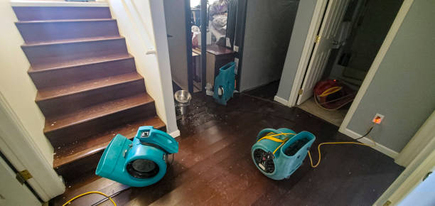 Best Flood damage cleanup  in Coats Bend, AL