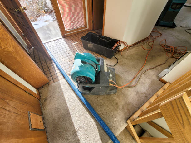 Best Sewage cleanup and water damage restoration  in Coats Bend, AL