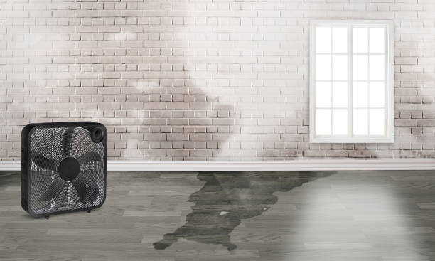  Coats Bend, AL Water damage restoration Pros