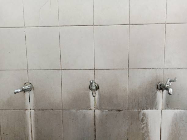 Best Carpet water damage restoration  in Coats Bend, AL