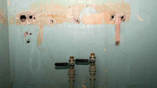 Best Basement water damage restoration  in Coats Bend, AL