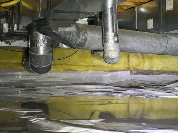 Best Local water damage restoration  in Coats Bend, AL