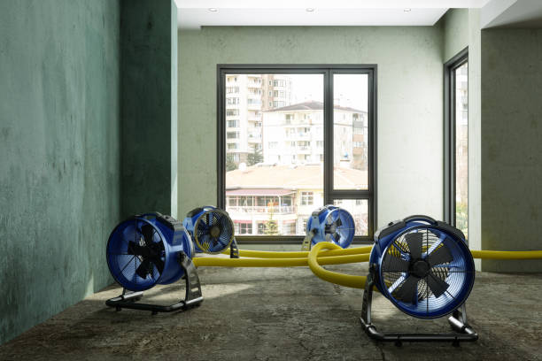 Best Water damage contractors near me  in Coats Bend, AL